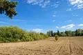 Parcelas 6 000 m² Kassandrino, Grecia