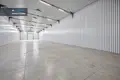 Коммерческое помещение 1 497 м² в Nemezis, Литва