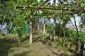 Коттедж 12 комнат 197 м² Ахарави, Греция