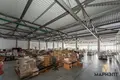 Warehouse 1 room 1 115 m² in Kalodziscanski sielski Saviet, Belarus