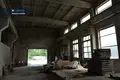 Gewerbefläche 1 490 m² Kedahnen, Litauen