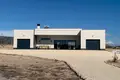 4 bedroom Villa 165 m² el Pinos Pinoso, Spain