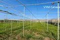 Вилла  Гранадилья-де-Абона, Испания
