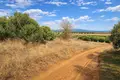 Land 4 000 m² Nea Triglia, Greece