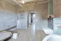 Cottage 280 m² Staroje Sialo, Belarus
