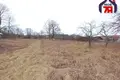 Haus 76 m² Dubrava, Belarus
