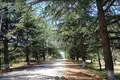 Atterrir 11 500 m² Tbilissi, Géorgie