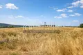 Parcelas 6 770 m² Municipality of Nea Propontida, Grecia