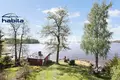 Cottage  Vora, Finland