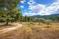 Atterrir 10 000 m² Neos Marmaras, Grèce