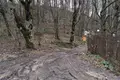 Земельные участки  Тианети, Грузия