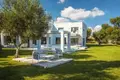 4 bedroom Villa 377 m² Viros, Greece