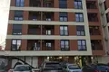 Квартира 1 спальня 48 м² Цетинье, Черногория