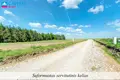 Land  Naujasis Tarpupis, Lithuania