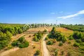 Atterrir 15 700 m² Siviri, Grèce