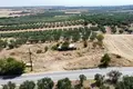 Parcelas 877 m² Nea Silata, Grecia