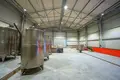 Now available for sale! A new wine factory complex in Kakheti, Telavi Municipality, in the village of Napareuli