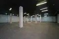 Warehouse 369 m² in Zdanovicy, Belarus