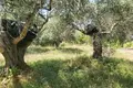 Parcelas 1 habitación  Vitalades, Grecia