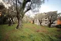 Parcelas  Petrovac, Montenegro