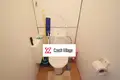 Wohnung 1 zimmer 34 m² Bezirk Aussig, Tschechien