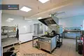 Commercial property 750 m² in Druskininkai, Lithuania