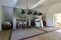 Cottage 350 m² Dabryniouski sielski Saviet, Belarus