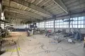 Производство 12 000 м² Новолукомль, Беларусь