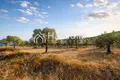 Land 8 570 m² Municipality of Sithonia, Greece