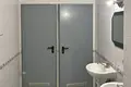 Office 1 room 30 m² in Minsk, Belarus