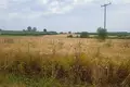 Land 7 250 m² Nea Flogita, Greece