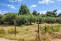 Atterrir 4 592 m² Kassandrino, Grèce