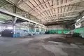Zakład produkcyjny 4 619 m² w Krzyczew, Białoruś