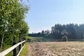 House 100 000 m² Bochlin, Poland