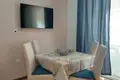 Apartamento 1 habitacion 43 m², Montenegro
