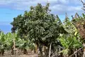 Parcelas  Canarias, Španjolska