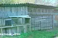 House  Turyn, Belarus