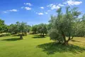 Atterrir 3 778 m² Kassandrino, Grèce