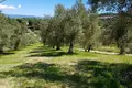 Parcelas 1 habitación  Paliouri, Grecia