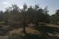 Land  Aspro, Greece