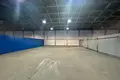 Warehouse 1 room 220 m² in Minsk, Belarus