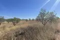 Atterrir 7 860 m² Jumilla, Espagne