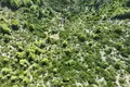 Land 51 001 m² Cara, Croatia