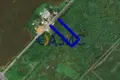 Propriété commerciale 4 000 m² à Tankovo, Bulgarie