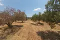 Atterrir 1 chambre  Nikiti, Grèce