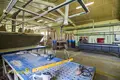 Производство 1 262 м² Новоселье, Беларусь