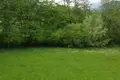 Land  Kolasin, Montenegro