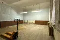 Gewerbefläche 12 zimmer 120 m² in Stankava, Belarus