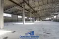 Warehouse 3 924 m² in Kalodziscanski sielski Saviet, Belarus
