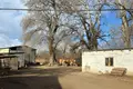Turnkey 3-Hectare Farm for Sale Near Tbilisi – Ready for Foreign Investors